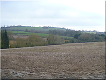 SP3435 : View to Whichford Hill by Michael Dibb