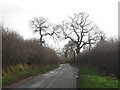 Congleton Lane Siddington