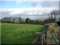 Narrow field alongside Shann Lane