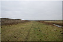 TQ7679 : Footpath by Cooling Marshes by N Chadwick