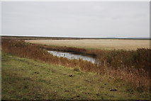 TQ7679 : Cooling Marshes by N Chadwick