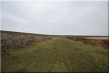 TQ7679 : Footpath by the Cooling Marshes by N Chadwick