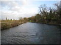 The River Avon at Avoncliffe