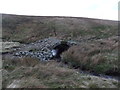 NY9607 : Ancient bridge over one of the feeders to Arkle Beck by David Brown