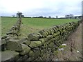 Green fields, green walls