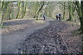 Horse-riding on the Irwell Sculpture Trail