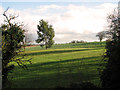 Garden beside Orchard Way, Hintlesham