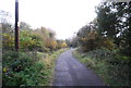 Blackwater Valley Path, Hollybush Park