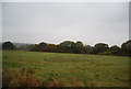 Farmland south of Ruckinge Farm