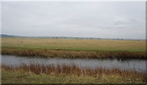 TQ7679 : Drainage ditch, Cooling Marshes by N Chadwick