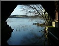 View from boathouse