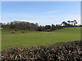 Fields near Llantwit Major