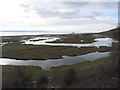 Glamorgan coast near Aberthaw