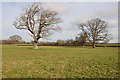 Farmland at Whitney-on-Wye