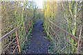 Bridge over the Barnsley Canal