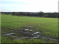 Farmland near Barwick in Elmet