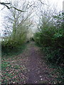 Along the bridleway towards Lower Drayton