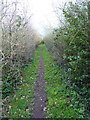 The bridleway leading to Lower Drayton