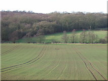 SE4241 : Farmland towards Rakes Wood by JThomas