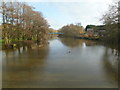 Blandford Forum, River Stour