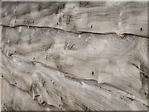 TR3260 : Cedar cladding by Oast House Archive