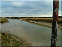 SZ8596 : Ferry Channel in Pagham Harbour by Shazz