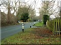 Thetford Road near Fornham St. Martin