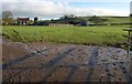 Towards Curscombe Farm