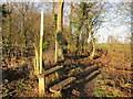 A stile at Old Plantation