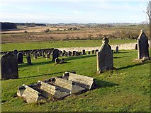 NZ0772 : Graveyard west of St Mary's Church, Stamfordham by Andrew Curtis