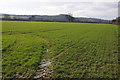 Arable land in the Wye valley