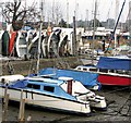 Boats in Belstead Creek, Ipswich