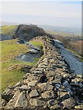 NY6766 : Hadrian's Wall west of Turret 45a (Walltown) by Mike Quinn
