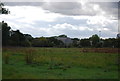 Looking across the Gipping floodplain