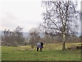 Downland pasture west of Oxted, in January