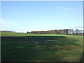 Farmland, Bramham Moor