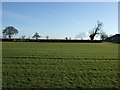 Farmland near Thorner