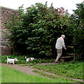 Stile by Andre Mills Bridge near Stone, Staffordshire