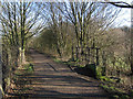 Teversal - underbridge on trail