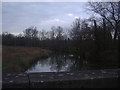 Bridge over the River Mole, Betchworth