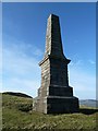 NS2907 : The Fergusson Monument on Kildoon Hill by Mary and Angus Hogg