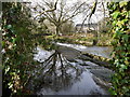 Weir on the Erme, Lower Keaton, near Ivybridge