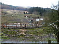 Riding for the Disabled, Treherbert