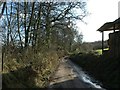 Lane to Combe Raleigh