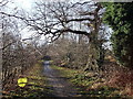 Path in Manor Park Country Park