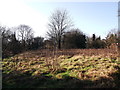 Ice House Field, Manor Park Country Park