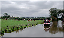 SJ9230 : Canal and pasture near Burston, Staffordshire by Roger  D Kidd