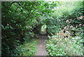 Footpath to Cobtree Wharf