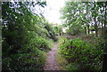 Footpath along the north bank of the Medway