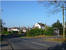 SY9897 : Blandford Road, Sleight by Nigel Mykura